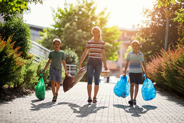 Yard Cleanup Services in South Pasadena, FL