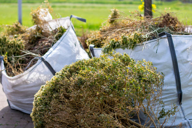 Best Furniture Removal Near Me  in South Pasadena, FL